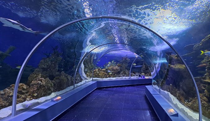 Jeddah (The second day)